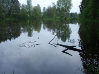 /album/historie/20100514-bsp-paletac-83-jpg/